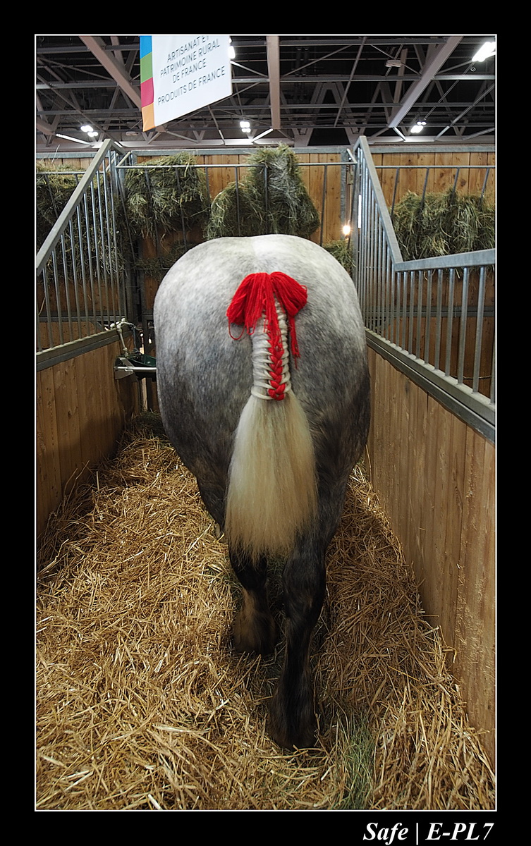 2020 - 02 - Salon agriculture 04